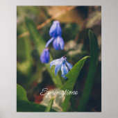 Poster Fleur à ressort bleu (Devant)