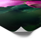 Poster Fleur à tête rose gros (Coin)