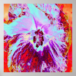 Poster Fleur abstraite tropicale d'aqua et d'hibiscus vio
