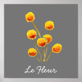 Poster Fleur australienne native Yellow Billy Button (Devant)