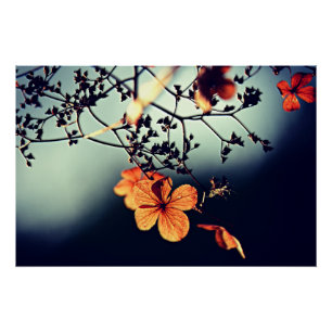 Poster Fleur automne
