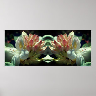 Poster Fleur Azalée Blanche Et Miroir Boule Abstrait