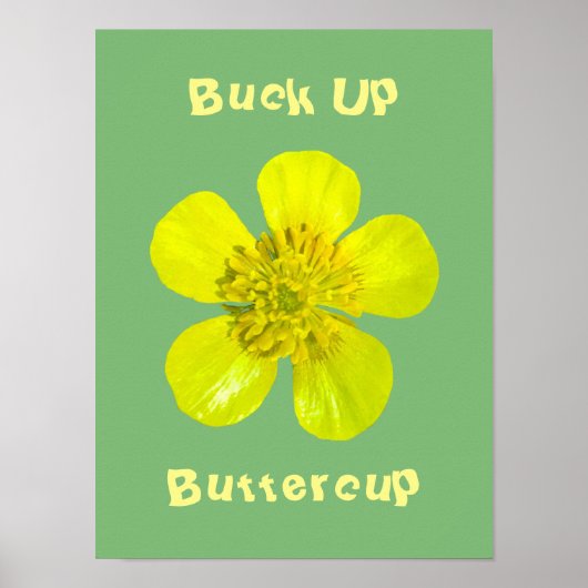 Poster Fleur Beurre - Buck Up Buttercup. (Devant)
