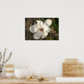 Poster Fleur blanche (Cuisine)