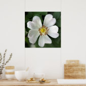 Poster fleur blanche (Cuisine)
