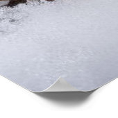 Poster fleur blanche (Coin)