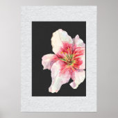 Poster Fleur blanche Art moderne (Devant)
