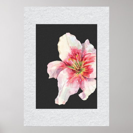 Poster Fleur blanche Art moderne (Devant)