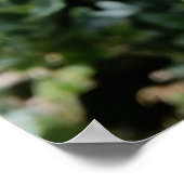 Poster fleur blanche brillante (Coin)