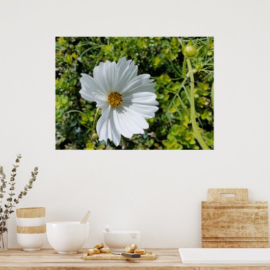 Poster fleur blanche brillante (Cuisine)