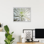 Poster Fleur blanche Chrysanthemum Fleur Fleurs Photo (Bureau à domicile)