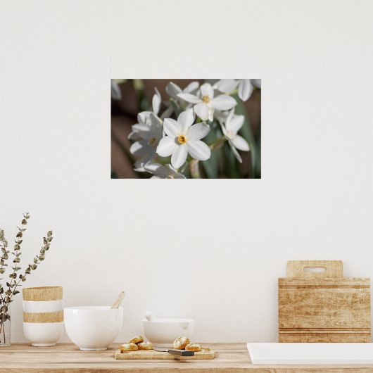 Poster Fleur blanche en papier Ziva (Cuisine)