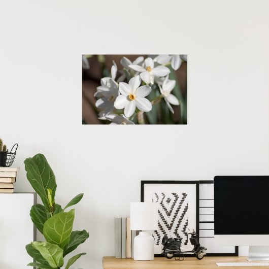 Poster Fleur blanche en papier Ziva (Bureau à domicile)
