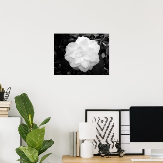 Poster Fleur blanche. (noir et blanc) (Bureau à domicile)