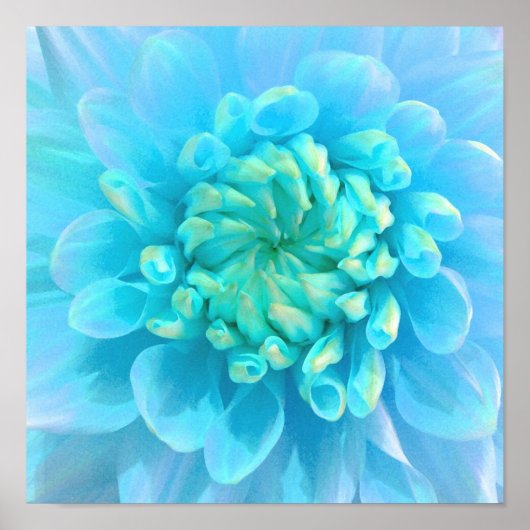 Poster Fleur bleu turquoise en aquarelle (Devant)