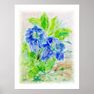 Poster Fleur bleue Illustration