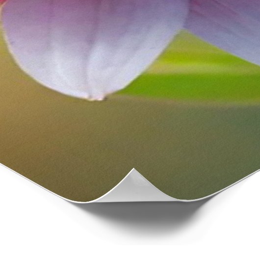 Poster Fleur Bokeh colorée (Coin)