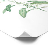 Poster Fleur botanique vintage Sage (Coin)