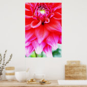 Poster Fleur brillante (Cuisine)