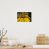 Poster Fleur Brittlebrush du désert (Cuisine)