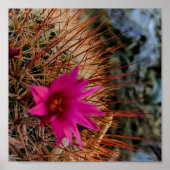 Poster Fleur Cactus (Devant)