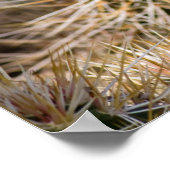 Poster Fleur Cactus (Coin)