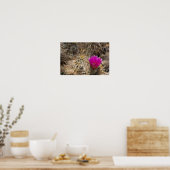 Poster Fleur Cactus (Cuisine)