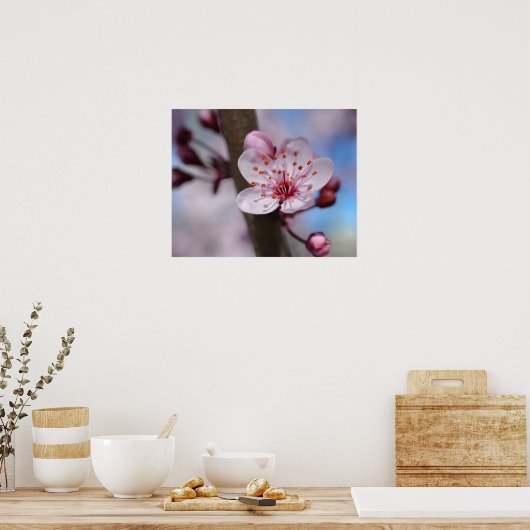 Poster Fleur Cherry Blossom (Cuisine)