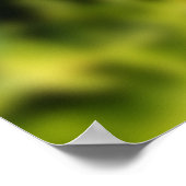 Poster Fleur chicorée (Coin)