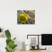 Poster Fleur Cholla Cactus (Bureau à domicile)