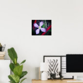 Poster Fleur Clematis à simple lavande (Bureau à domicile)