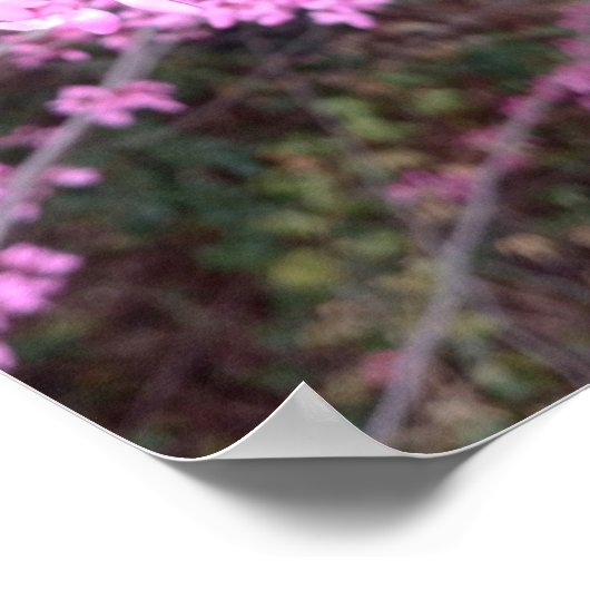 Poster Fleur complète (Coin)