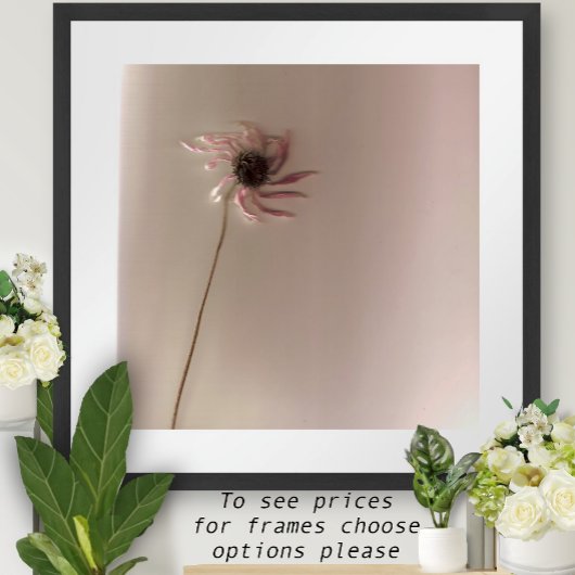 Poster Fleur conique