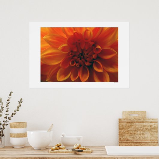 Poster Fleur Dahlia (Cuisine)
