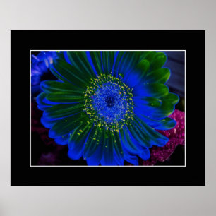 Poster Fleur Dahlia Bleu Abstrait