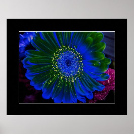 Poster Fleur Dahlia Bleu Abstrait (Devant)