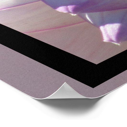 Poster Fleur Dahlia Violet Blanc (Coin)