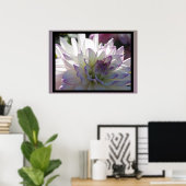 Poster Fleur Dahlia Violet Blanc (Bureau à domicile)
