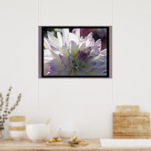 Poster Fleur Dahlia Violet Blanc (Cuisine)