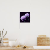 Poster Fleur d'ail oignon violet en gros plan (Cuisine)