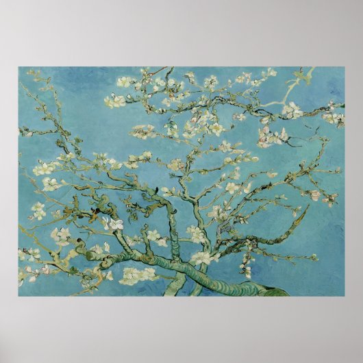 Poster Fleur d'amande de Vincent Van Gogh (Devant)