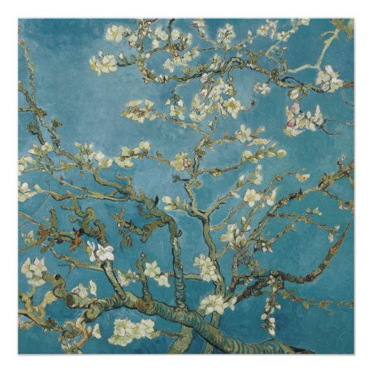 Poster Fleur d'amandes de Vincent van Gogh (1890) (Devant)
