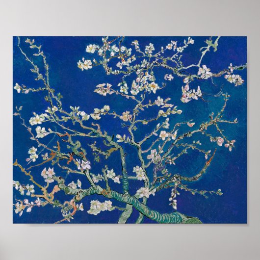 Poster Fleur d'amandes (Indigo) | Van Gogh | (Devant)