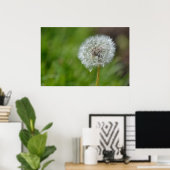 Poster Fleur Dandelion (Bureau à domicile)