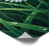 Poster Fleur dans l'art mural du soleil (Coin)