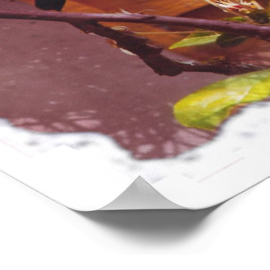 Poster Fleur d'Apple (Coin)