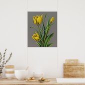 Poster Fleur d'aquarelle de Tulipe jaune (Cuisine)