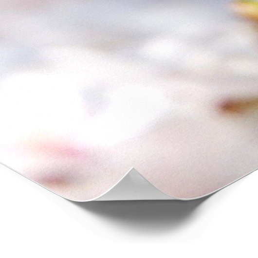 Poster Fleur d'arbre blanc au printemps (Coin)