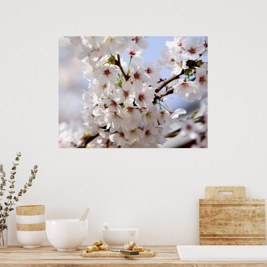 Poster Fleur d'arbre blanc au printemps (Cuisine)