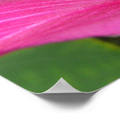Poster Fleur d'arbre orchidée florale tropicale (Coin)